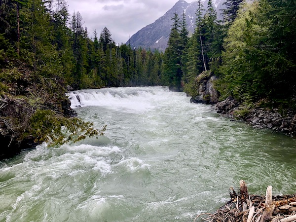 Waterfall and rapids with river lined by trees in Glacier National Park Montana