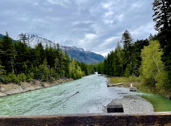 Crystal clear river lined with trees and mountain in background in Glacier National Park Montana