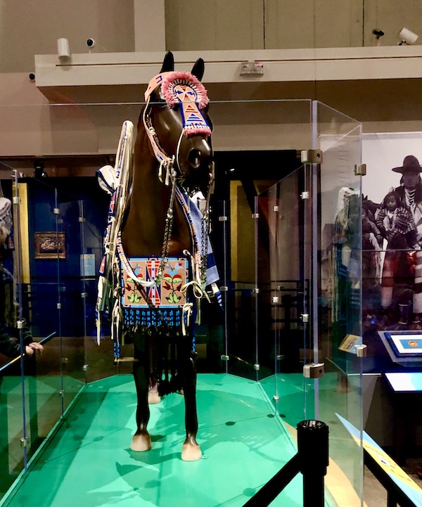 A view of a parade horse from front at Museum of the Rockies Bozeman MT