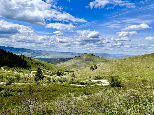 Rolling hills with a winding sand road at the National Bison Range Montana