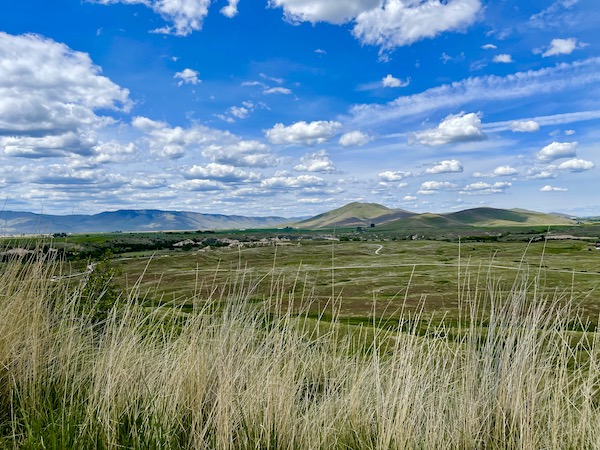 National Bison Range Montana seen from the driving trail