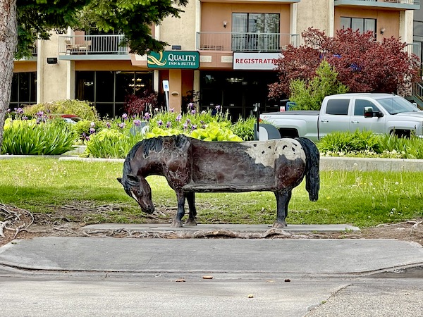 A wooden horse carved into a park bench seen during Our Day in Idaho Falls ID