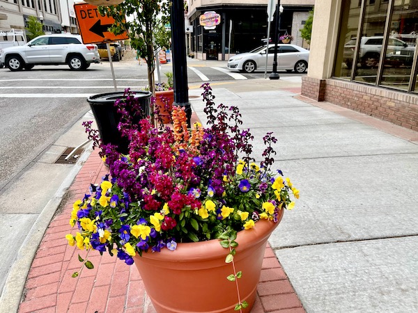 Terracotta flower pot filled with colorful flowers on the sidewalk in downtown Idaho Falls