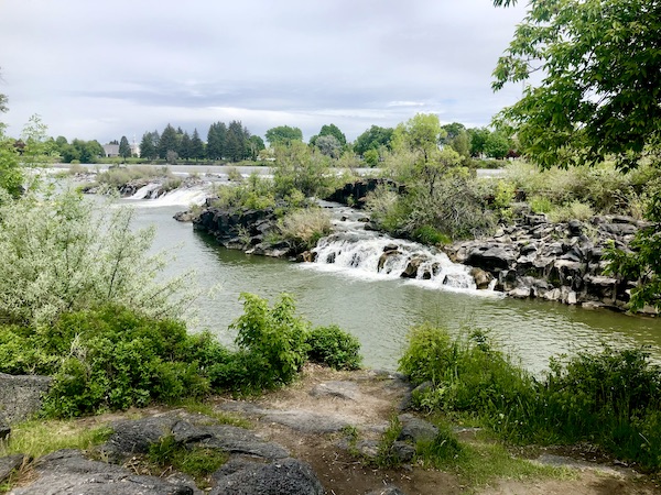 Tree lined river and waterfalls seen during Our Day in Idaho Falls ID