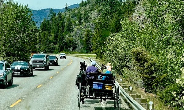 A highway through the forest with cars and a family in a buggy with 2 horses driving from Spokane WA to Coram Montana