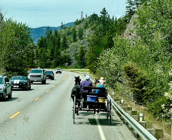 A highway through the forest with cars and a family in a buggy with 2 horses driving from Spokane WA to Coram Montana