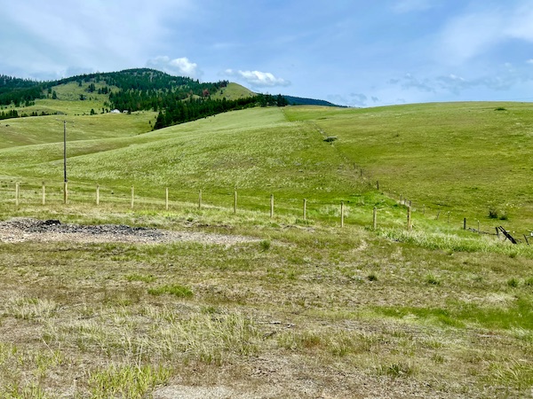 Grass and tree covered mountains on our beautiful drive from Spokane WA to Coram Montana