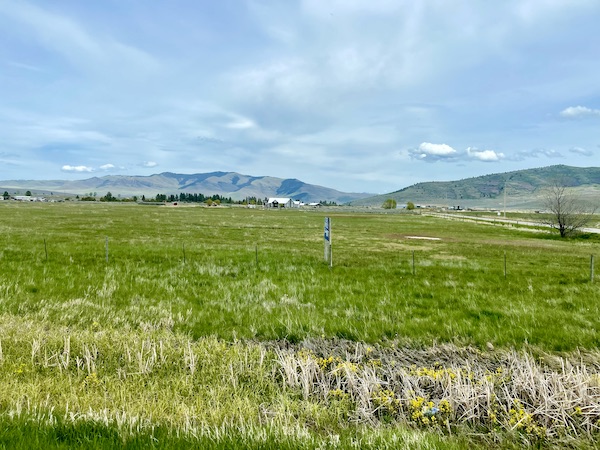 Expanse of green grass with mountains in the distance en route from Spokane WA to Coram Montana