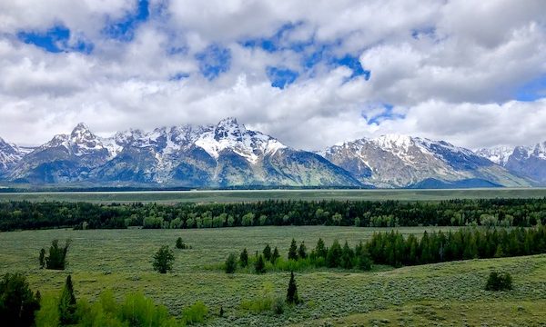 Lawn, trees and snow covered Teton Mountain Range Wyoming