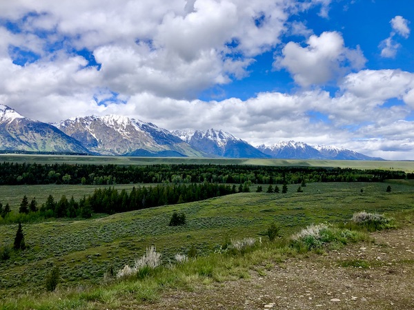 Lawn, trees and snow covered Teton Mountain Range Wyoming