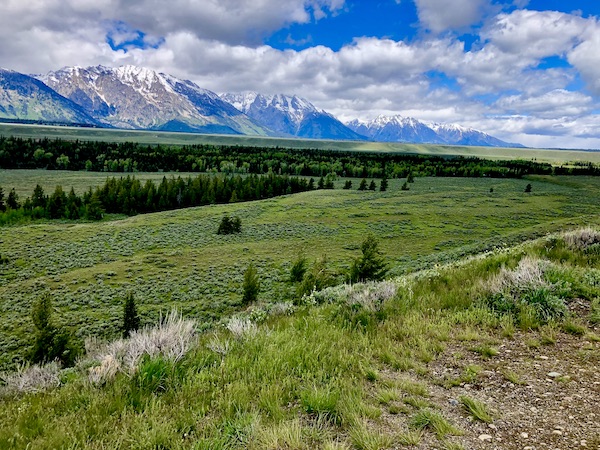 Lawn, trees and mountain in the Teton Mountain Range Wyoming