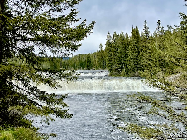 Short but wide waterfall in the woods seen while Visiting Ashton Idaho.