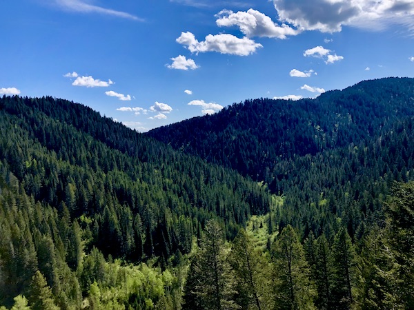 Tree covered mountains seen while Visiting Ashton Idaho