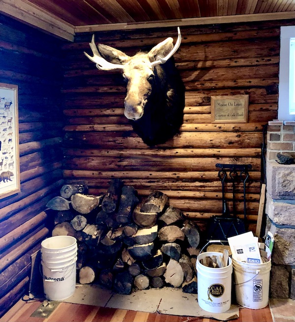 Inside the log cabin Mesa Falls Visitors Center with moose head hanging seen while Visiting Ashton Idaho.