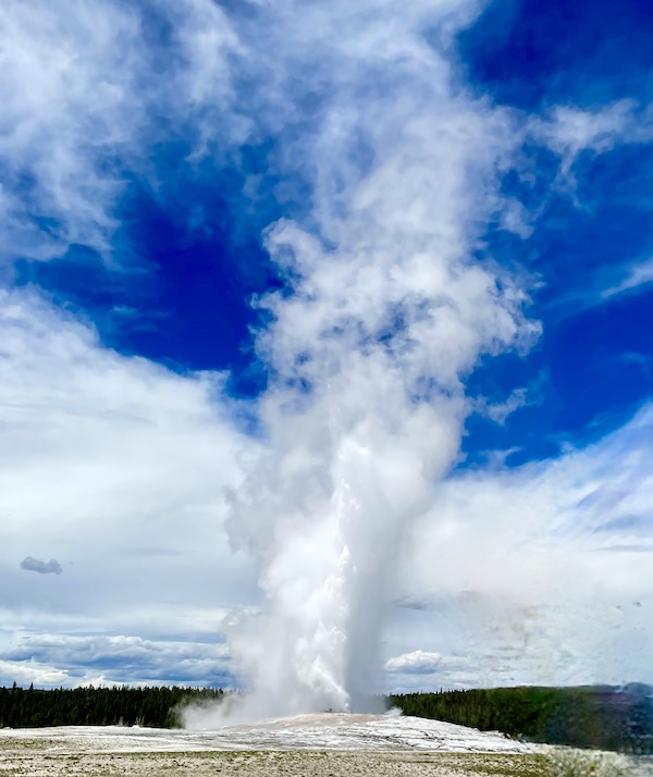A geyser soaring to the sky at Yellowstone National Park Wyoming