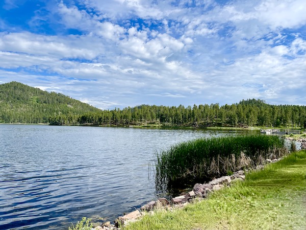 Lake surrounded by trees at Custer State Park Custer SD