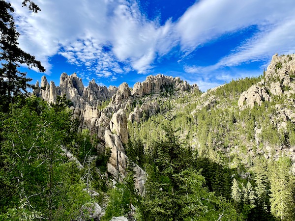 Rock needles, grass and trees at Custer State Park Custer SD
