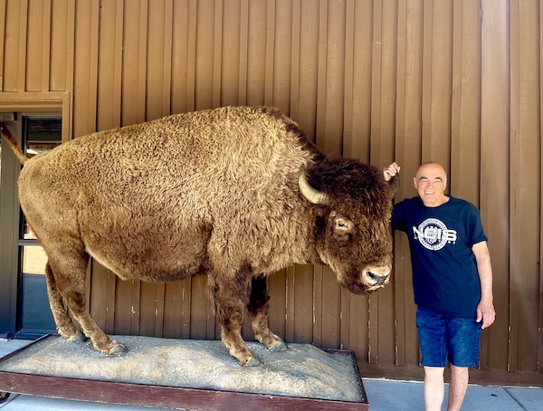 Steve, posing with a taxidermy bison at Wall Drugs Wall South Dakota