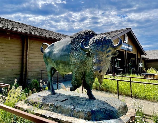 Bronze bison statue in front of the National Buffalo Museum in Jamestown ND