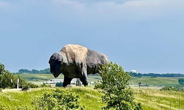 Enormous statue of a buffalo with rolling hills in the background in Jamestown ND