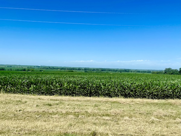 Farm field of young corn was one of the Highlights of Lincoln NE