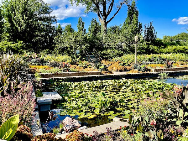 Lots of plants and water lilies at Sunken Gardens Lincoln Nebraska