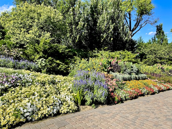 Flowering plants of all colors along with beautiful trees at Sunken Gardens Lincoln Nebraska