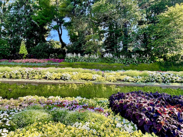 Colorful plants and flowers at Sunken Gardens Lincoln Nebraska