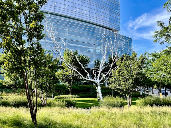 Metal tree sculpture in front of building across from the Milwaukee Art Museum Wisconsin