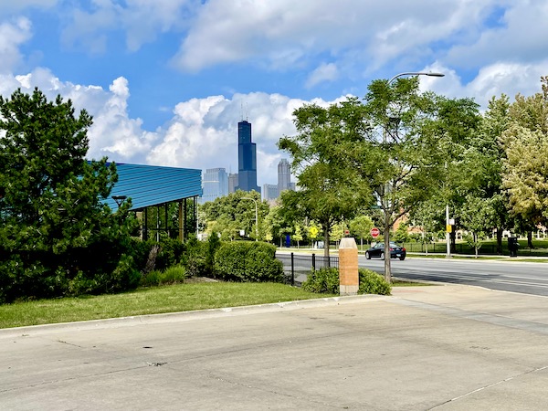 Skyline of Chicago and lots of trees