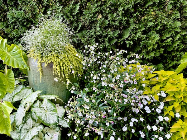 White and pink flowers and other plants line a garden path at Longwood Gardens