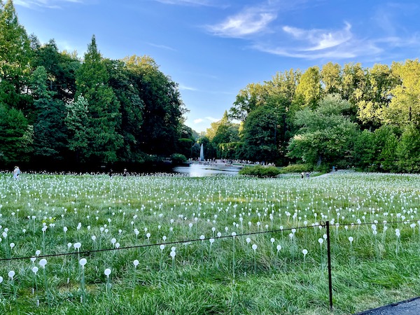 A field of small white globes on sticks at Longwood Gardens Kennett Square PA