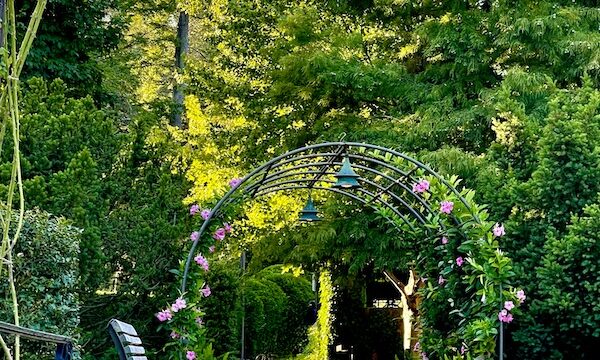 Park bench and an arbor guide our journey through Longwood Gardens Kennett Square PA