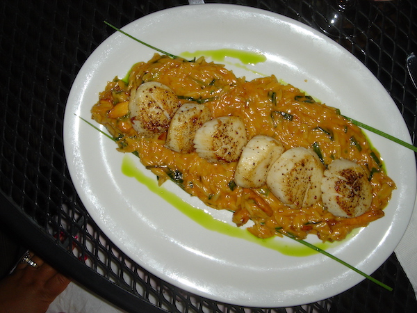 White plate topped with pink sauce and a row of seared scallops in Montauk NY part of Celebrating 3 Years as Full Time RVers!