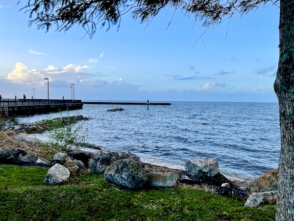 Moorings and lake water at Lake Okeechobee Florida