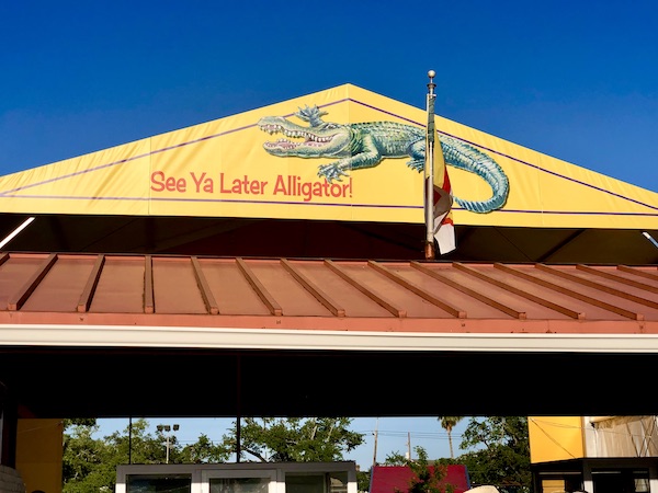 Exiting New Orleans Jazz and Heritage Festival a sign with an alligator says "see ya later alligator"