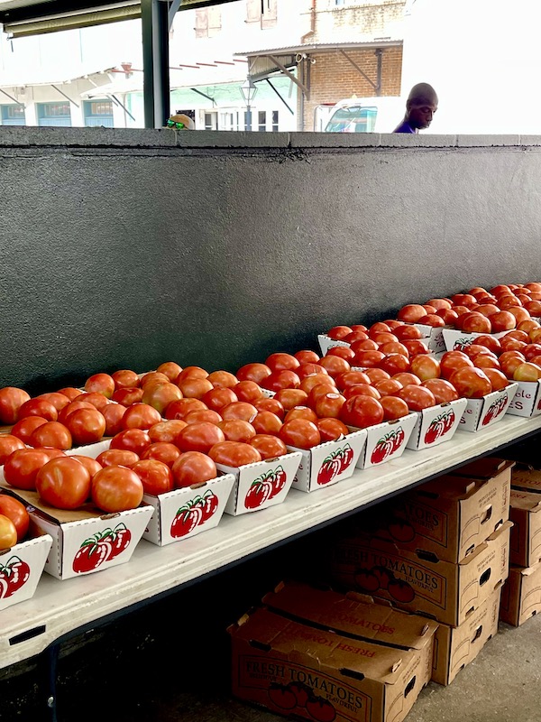 Long row "tomato boats" at the 37th Creole Tomato Festival NOLA