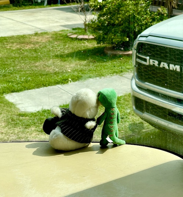 NOLA to Lake Worth Florida 2 stuffed animals rode on our RV dash.