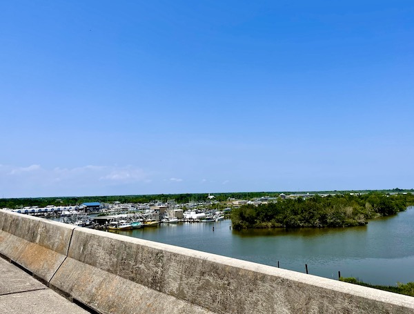 Marina with private and commercial boats docked.