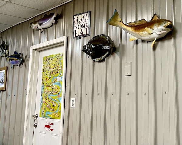 Assortment of taxidermied fish on the wall of restaurant on our Sunday Drive to Louisiana Southernmost Point