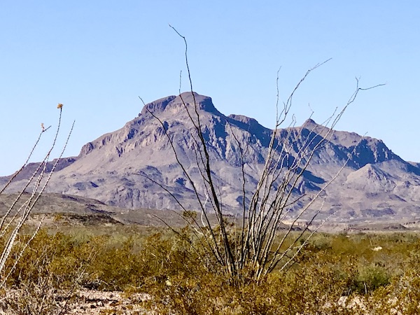 Mountains and trees in Bend National Park in Terlingua TX