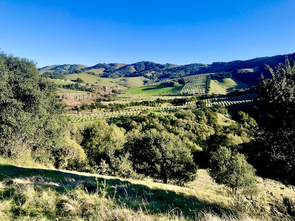Green mountains with vineyards and farms create a stunning landscape. Part of my 3 Years RVing Year 1 Recap