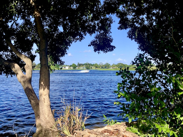 View of lake seen through a frame of trees at John Prince Park Campground Lake Worth FL