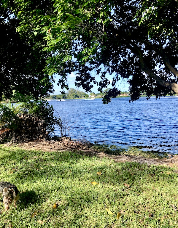 Serene view at a large lake at John Prince Park Campground Lake Worth FL