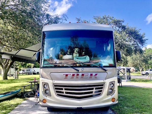 Four dogs looking out an RV windshield at John Prince Park Campground Lake Worth FL