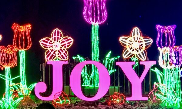 Merry Christmas 2023 floral light display with pink letters spelling JOY