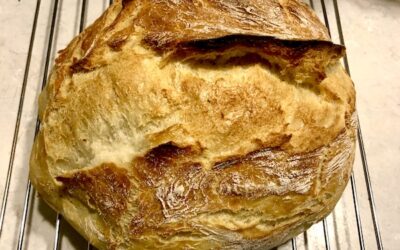 Easy No Knead Bread
