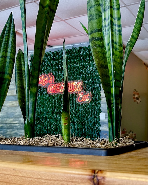Dining room decor at Geaux Pizza on our way to Global Wildlife Center Folsom LA