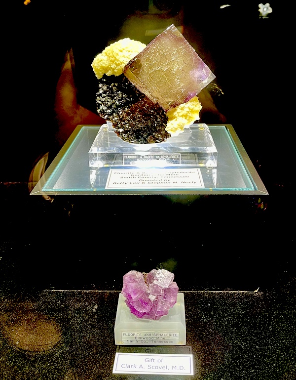 Pink, yellow, gold and black minerals on display at the Petroleum Museum Midland Texas
