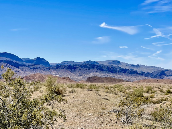 Purple mountains, desert and plants on our way for a Beautiful Lake Havasu Arizona